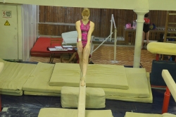 Соревнования на кубок города Владивостока  по спортивной гимнастике