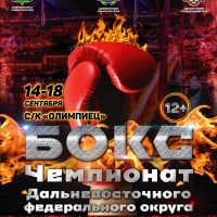 Во Владивостоке состоится Чемпионат Дальневосточного федерального округа по боксу