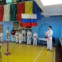 Лесозаводские каратисты завоевали 17 медалей краевого чемпионата
